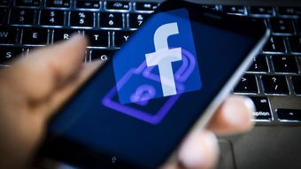 從教訓到行動 Facebook收購網(wǎng)絡安全公司的戰(zhàn)略意圖與上海網(wǎng)絡信息安全軟件開發(fā)的機遇
